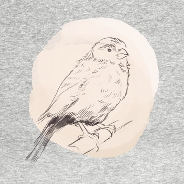 Hand drawn illustration of canary bird by Lshvsk